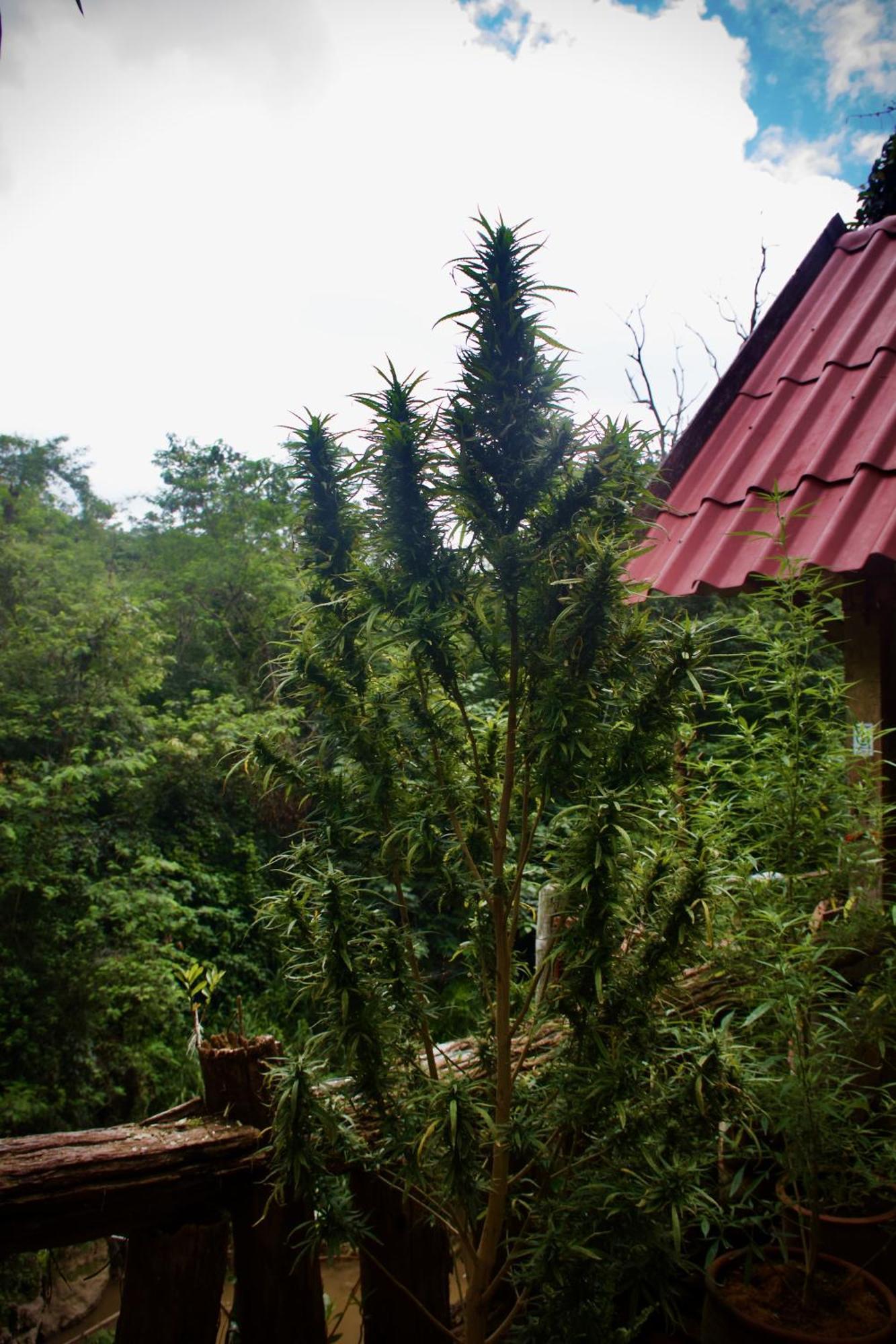 Aerie Lodge Pang Mapha Esterno foto