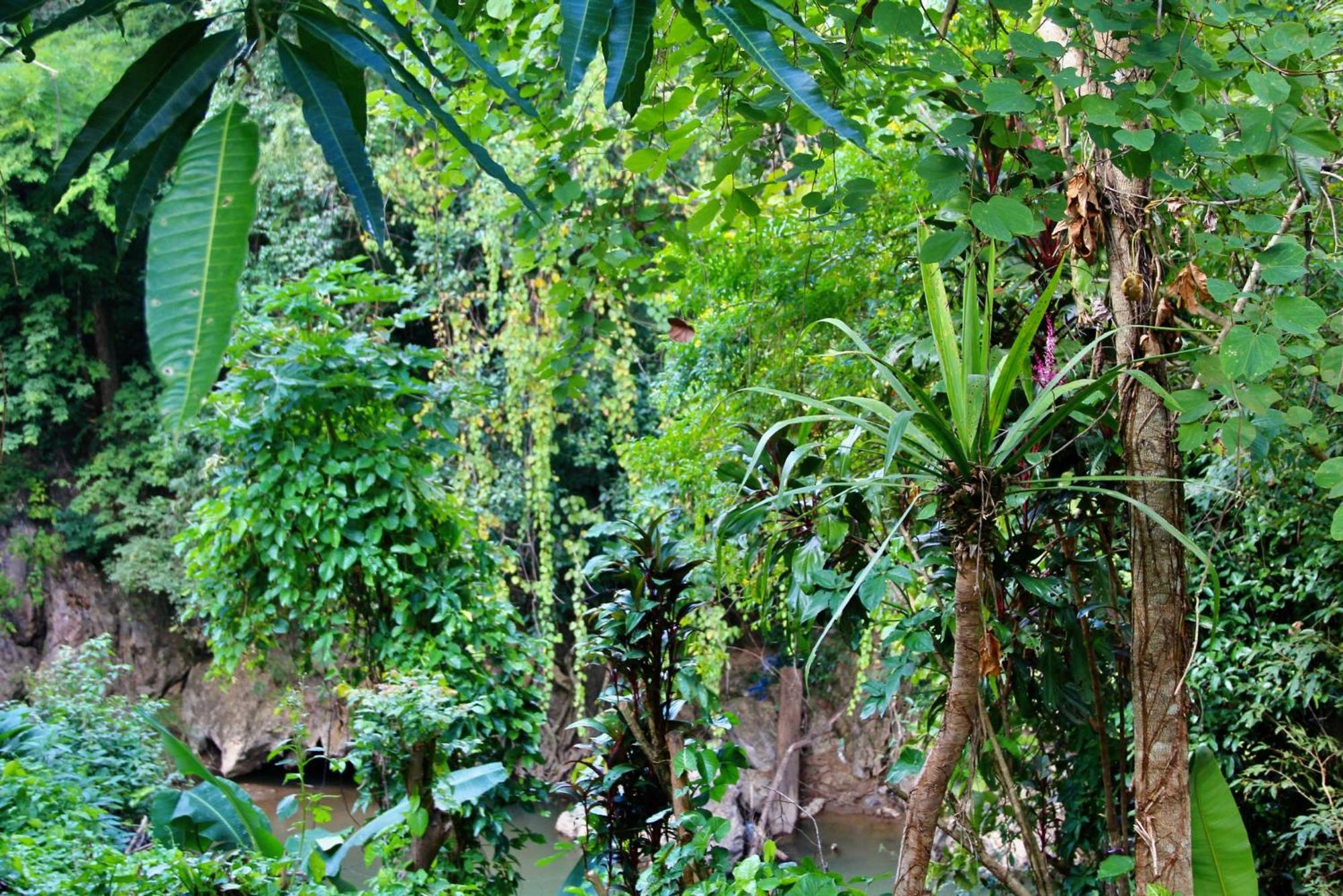 Aerie Lodge Pang Mapha Esterno foto