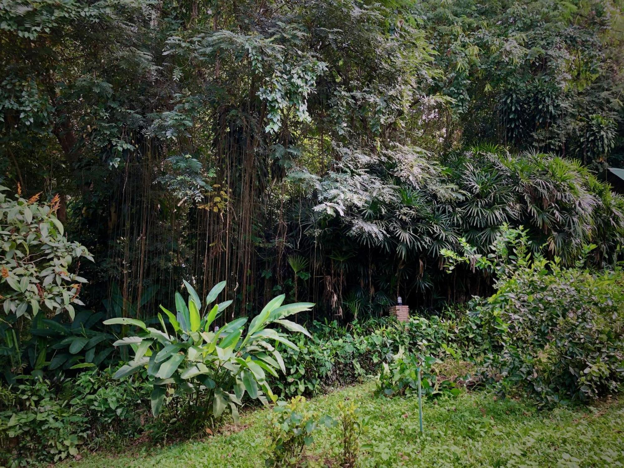 Aerie Lodge Pang Mapha Esterno foto